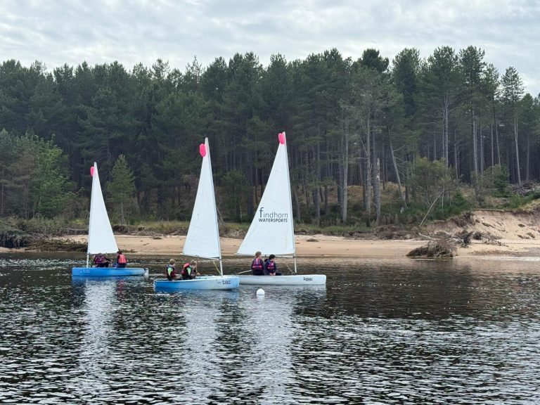 Sailboats with people on calm river near forest