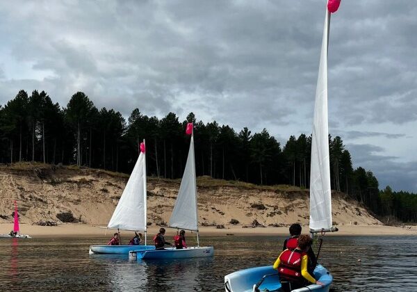 Sailboats on calm water near sandy beach under clouds