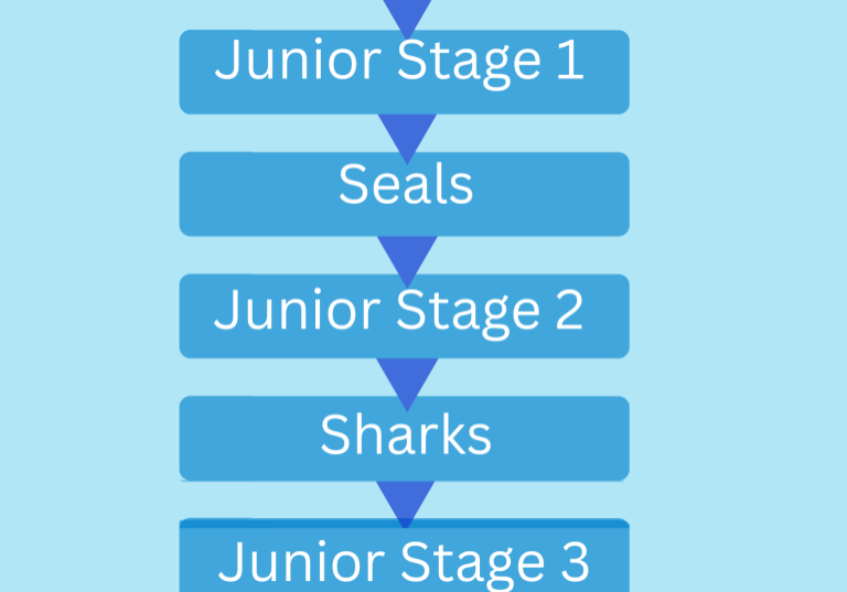 Findhorn Watersports aquatic-themed program stages