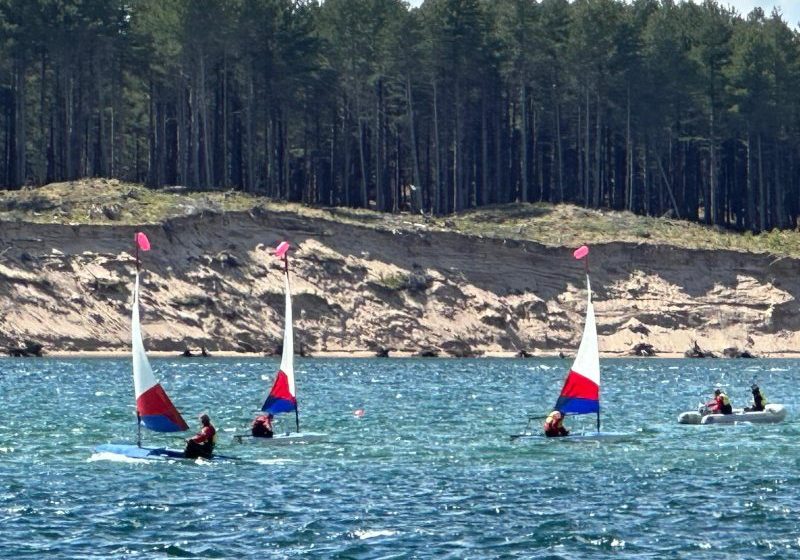 Sailboats racing on a lake with pine trees in background